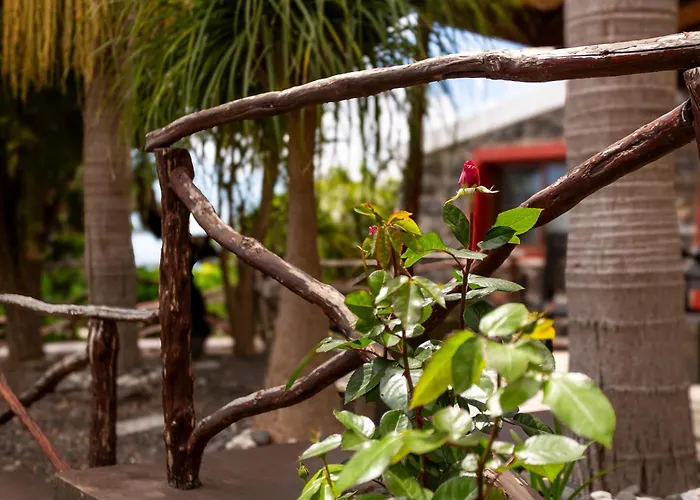 Dom wakacyjny Refugio Do Lourinho *